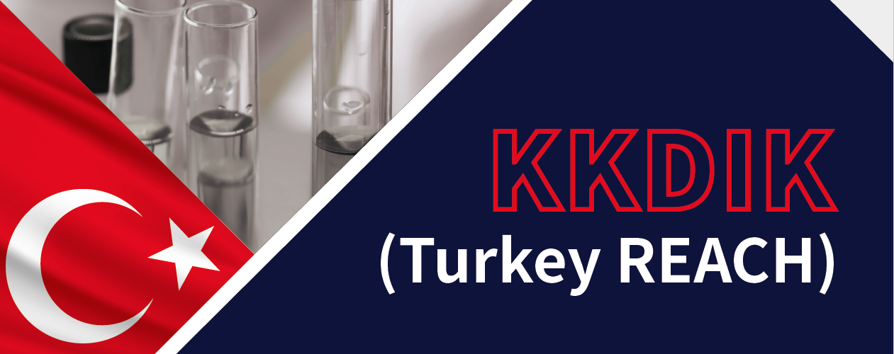 KKDIK (Turkey REACH) - REACH24H Consulting Group