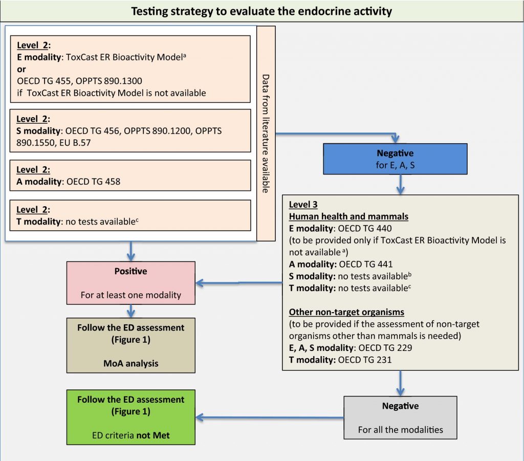 Testing strategy to evaluate the endocrine activity