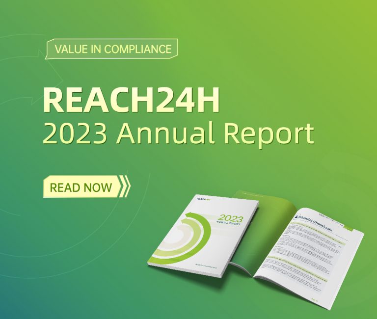 Ready to Ignite in 2024: REACH24H Set to Break Barriers and Build Competence