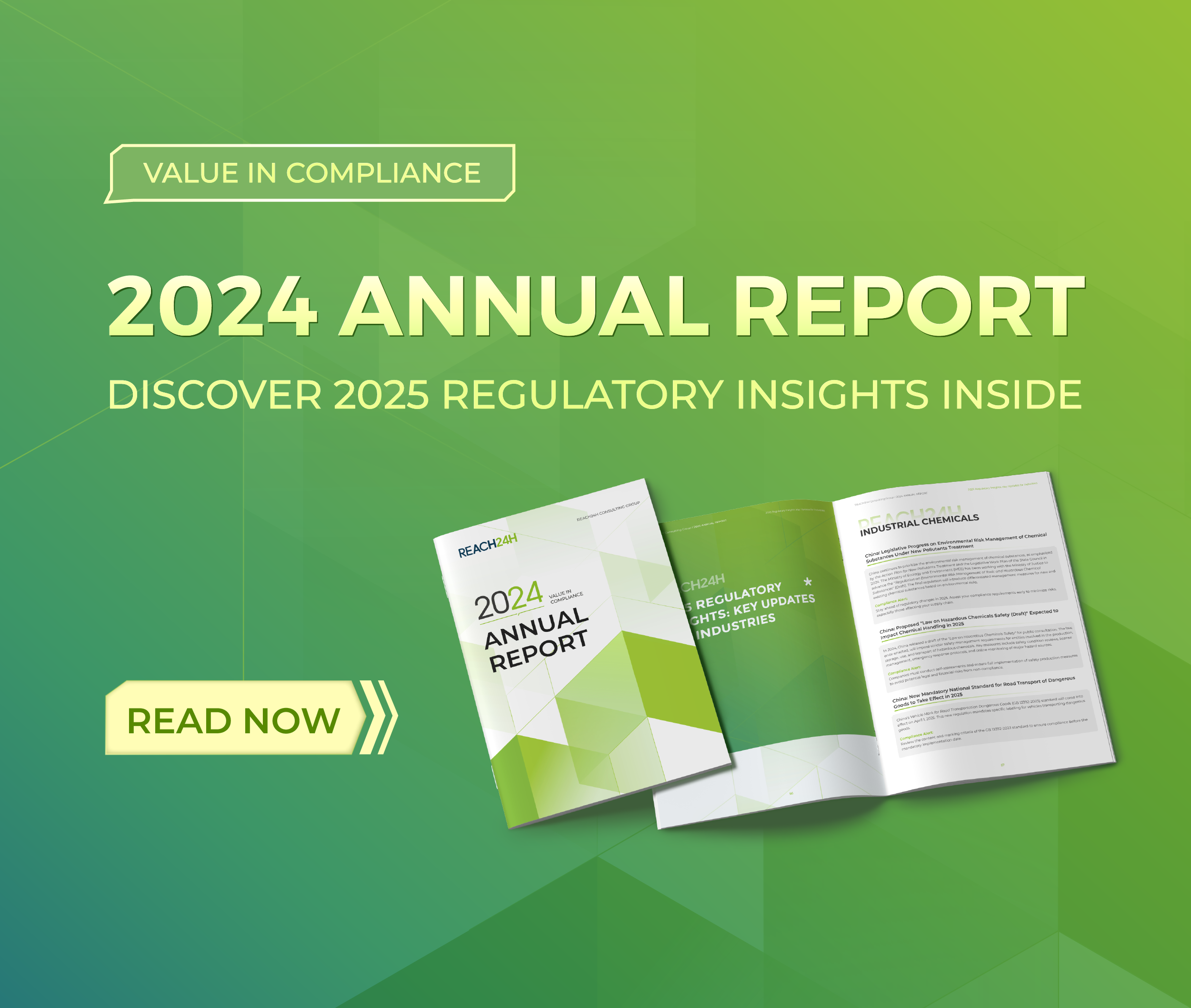 REACH24H 2024 Annual Report EN